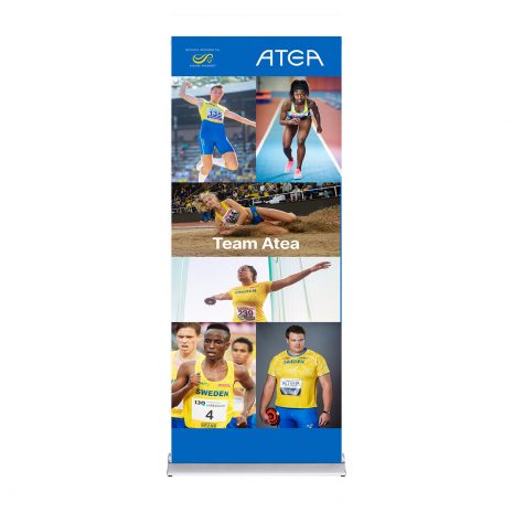 team_atea_d3 team_atea_d3